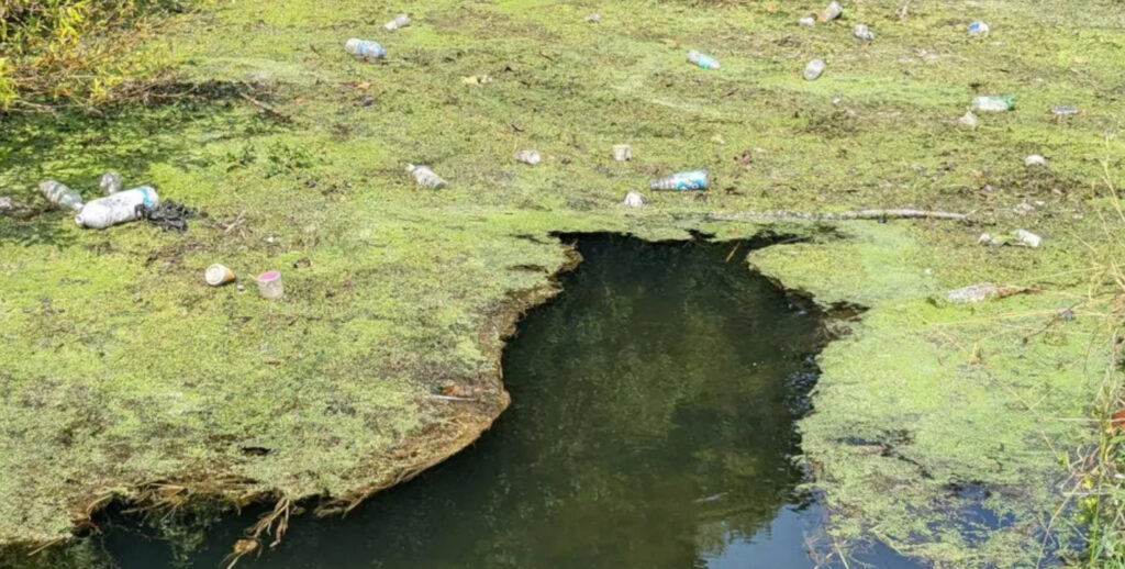 UK Campaigners Demand Action Over Sewage Spills
