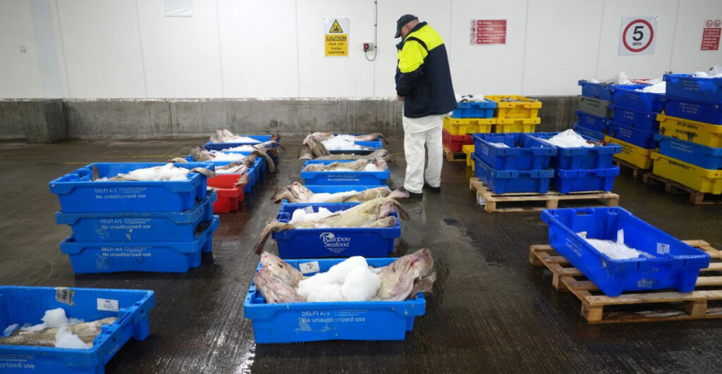 UK Rejects EU Push to Tie Fishing Access to Security Pact