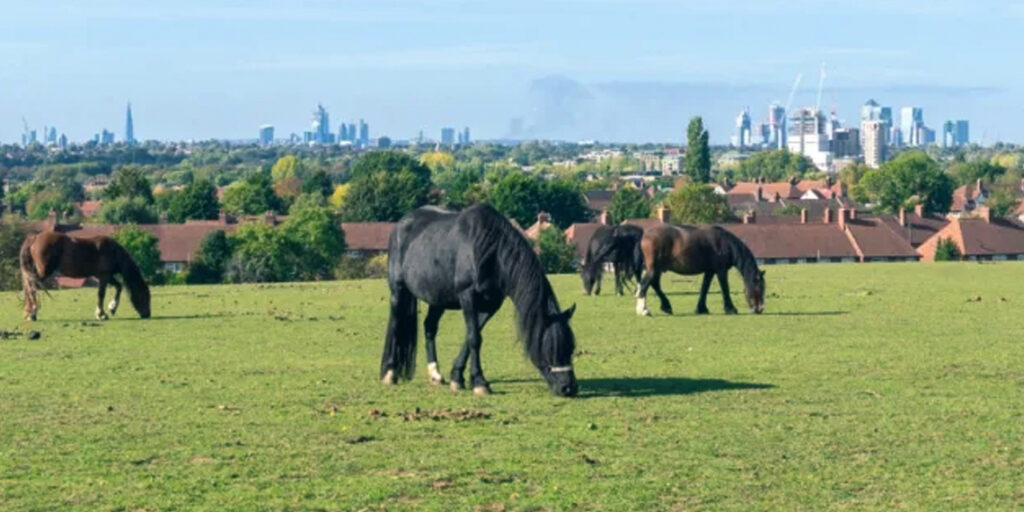 London Eyes Green Belt for Housing Boost