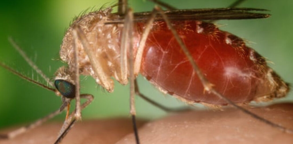 Scientists Urge UK to Boost Overseas Disease Control Efforts