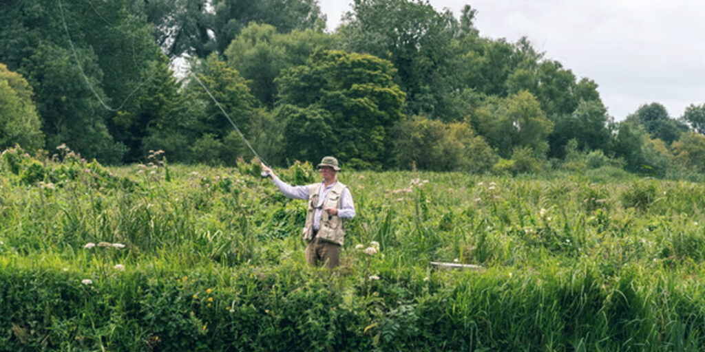 Volunteers Reveal Major Ecological Failures in UK