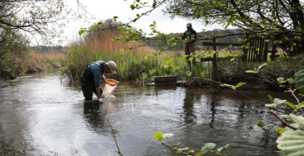 Water Demand Puts English Rivers at Risk