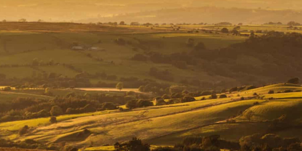 Labour’s Planning Bill Threatens 5,000 Protected Nature Sites