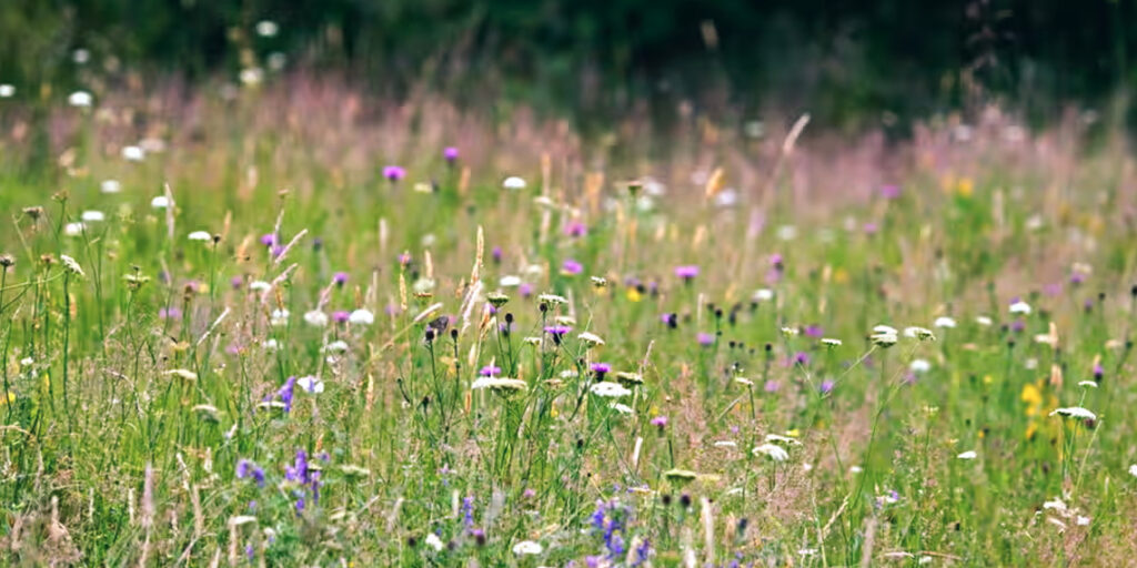 Farming Budget Cut by Labour Amid Rising Sector Tensions Farming Budget Cut by Labour Amid Rising Sector Tensions