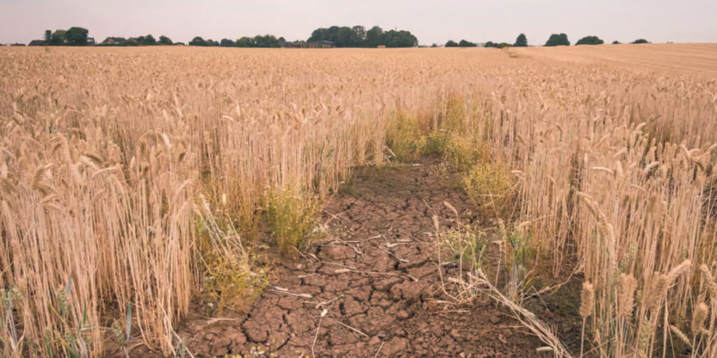 Report Warns Climate Change Could Push 1M Brits Into Poverty