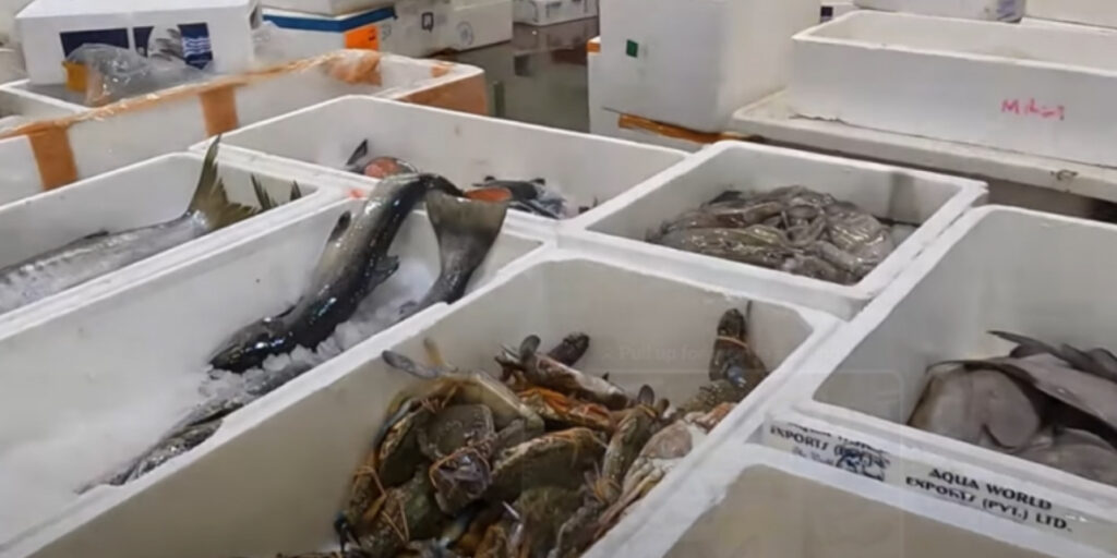 Human Rights Violations Found in UK Seafood Supply Chain