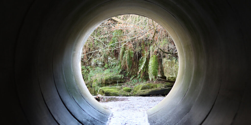 Government Unveils £10 Million Sewage Repair Fund for Local Communities