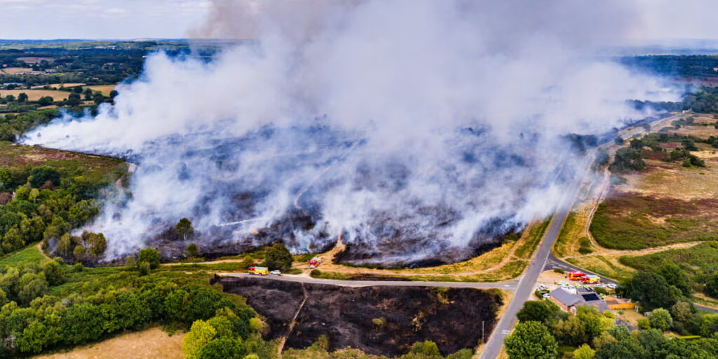 UK Wildfires Hit Record Levels in 2025