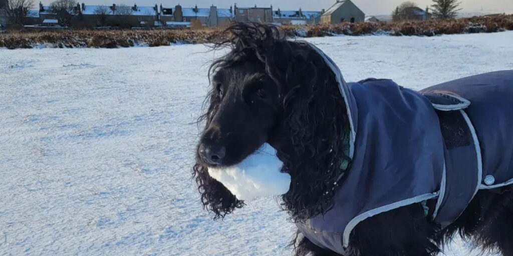 Schools in Northern UK Closed Due to Snow